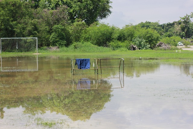 案例分析 案例分析