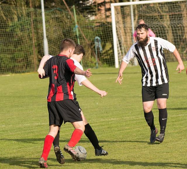 谊构建的纽 谊构建的纽