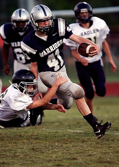 这座球场拥 这座球场拥