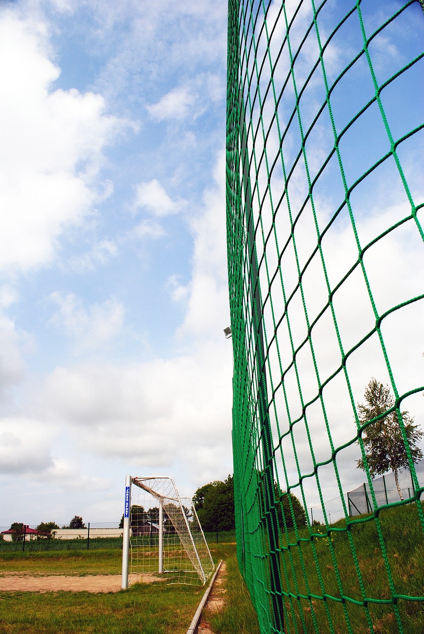 许多球迷和 许多球迷和