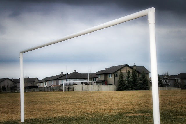 的高度关注 的高度关注